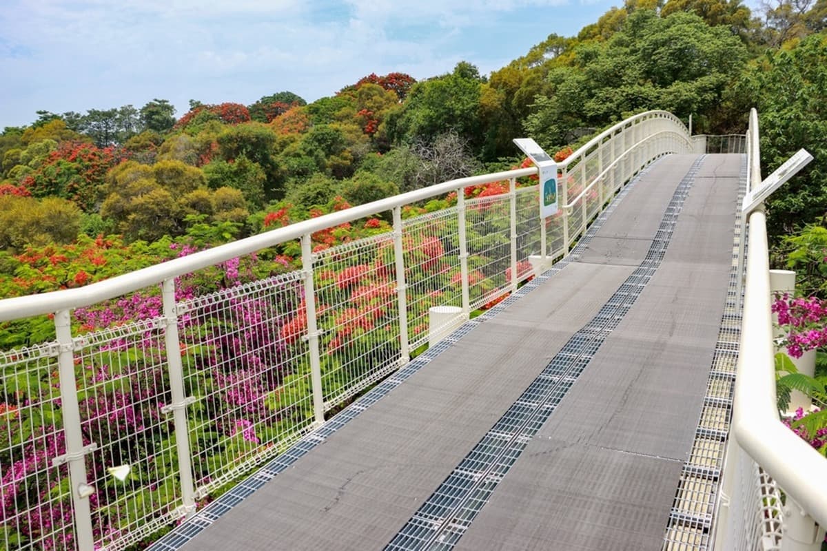財神爺在等你!中台灣求財拜拜開運地圖:紫南宮領錢母、市場吃飽飽發大財 財神爺在等你!中台灣求財拜拜開運地圖:紫南宮領錢母、市場吃飽飽發大財