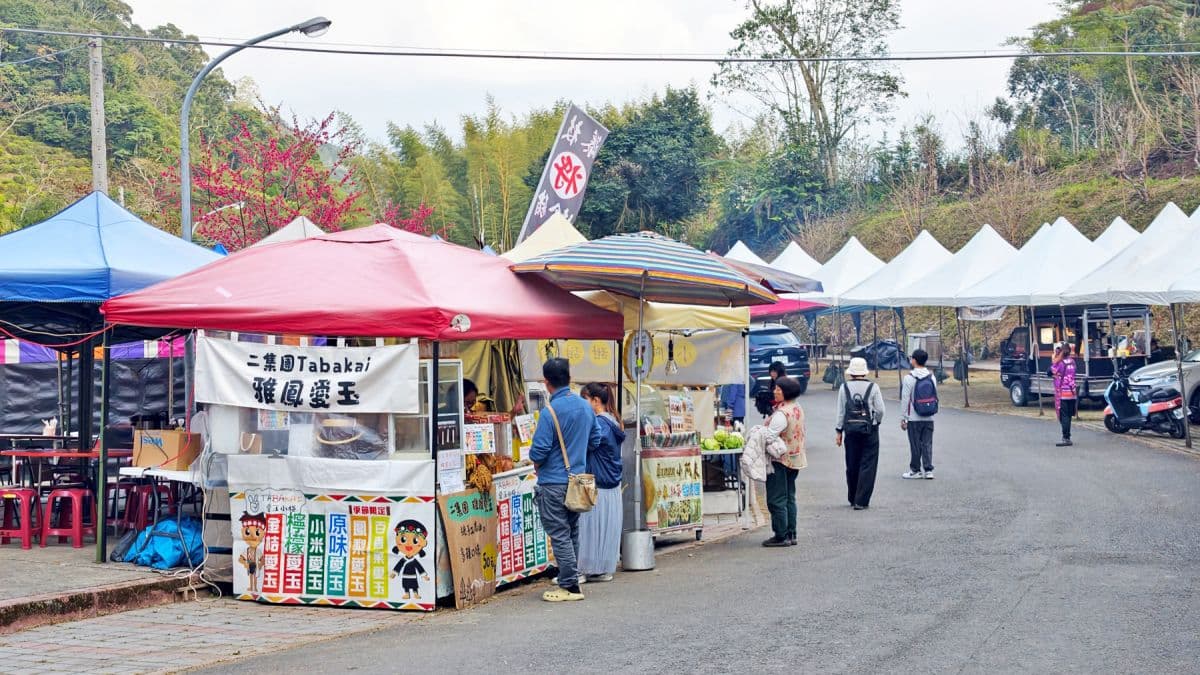 高雄最強免費賞櫻秘境!2026櫻花滿開中,美拍河津櫻粉紅花海、有免費接駁車 高雄最強免費賞櫻秘境!2026櫻花滿開中,美拍河津櫻粉紅花海、有免費接駁車