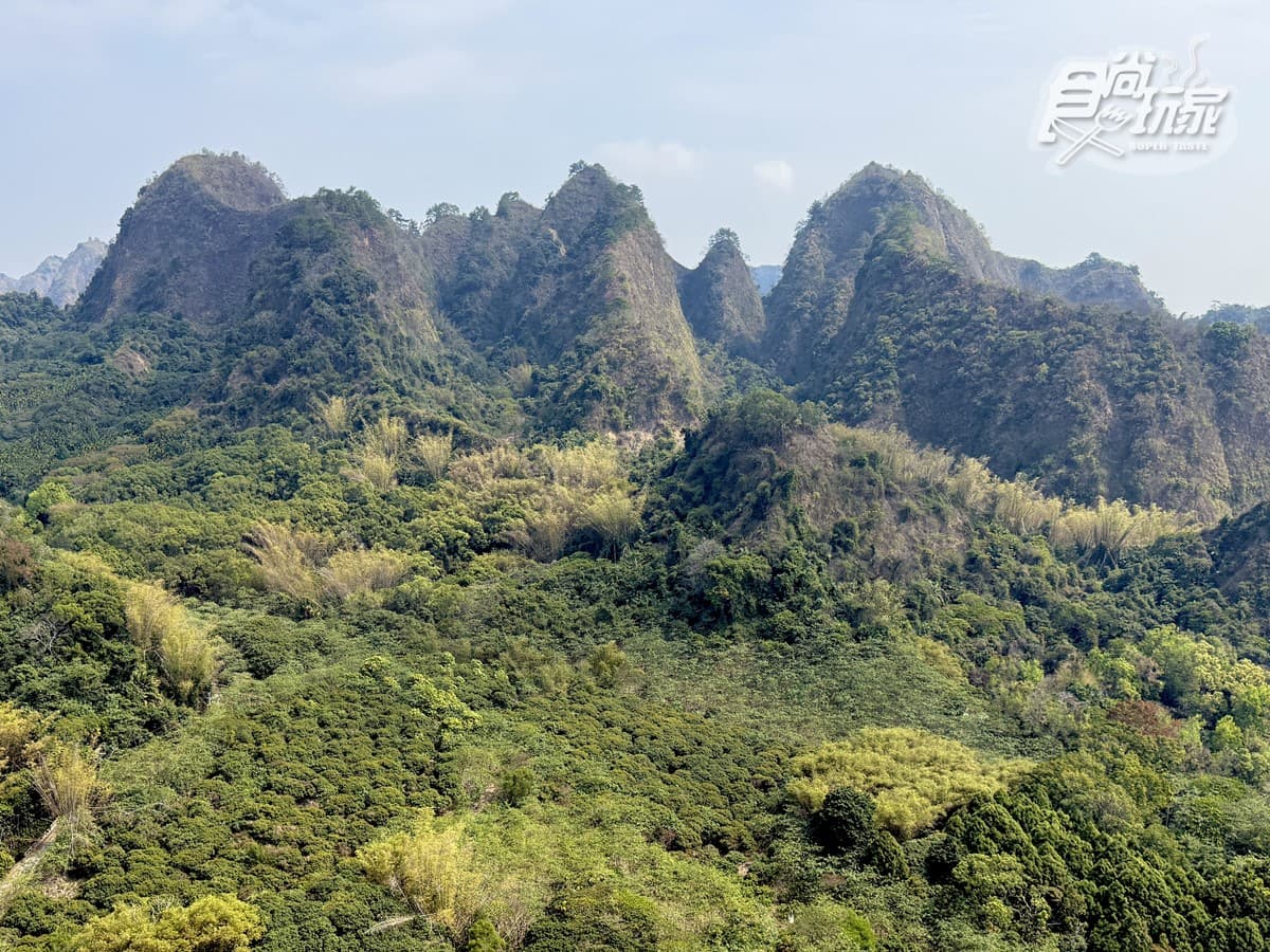 全台首座「氦氣球樂園」開箱!薰衣草森林九九峰:票價、必吃美食、設施介紹 全台首座「氦氣球樂園」開箱!薰衣草森林九九峰:票價、必吃美食、設施介紹