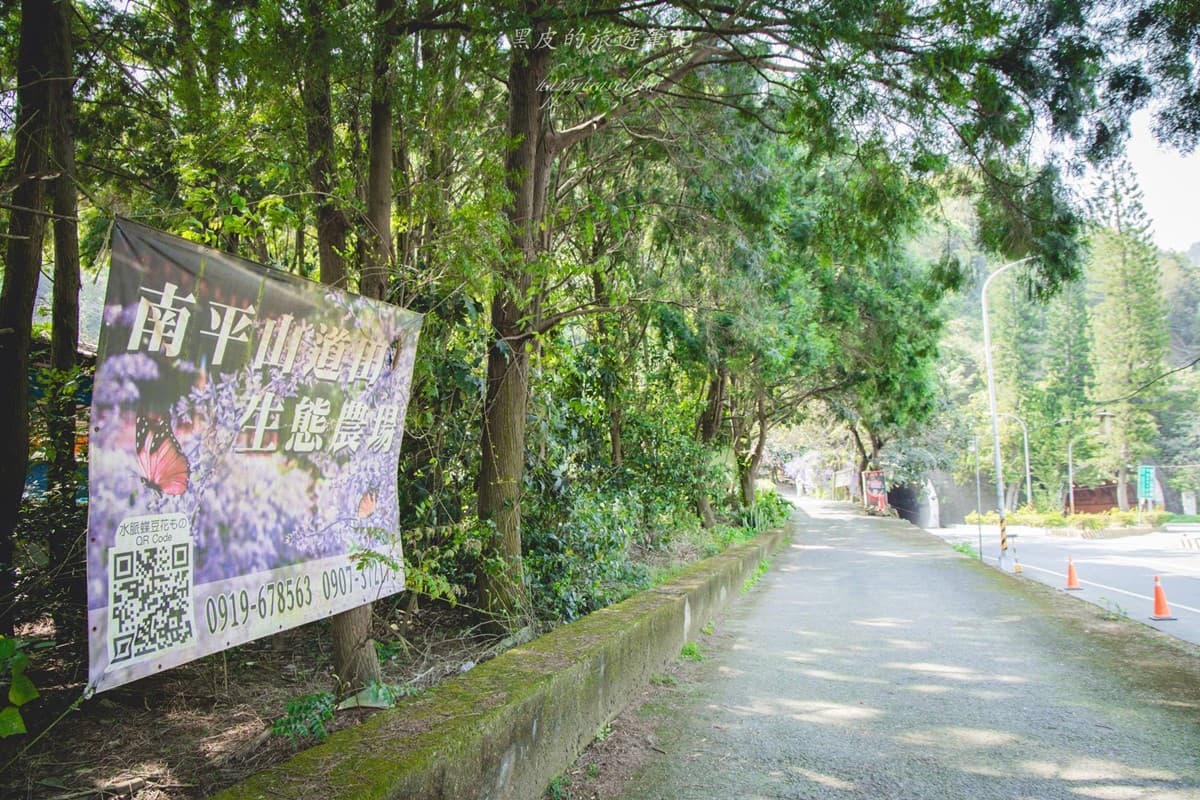 全台唯一「錫葉藤花海」免費拍!漫步百米夢幻紫色隧道,最佳賞花期倒數快衝 全台唯一「錫葉藤花海」免費拍!漫步百米夢幻紫色隧道,最佳賞花期倒數快衝