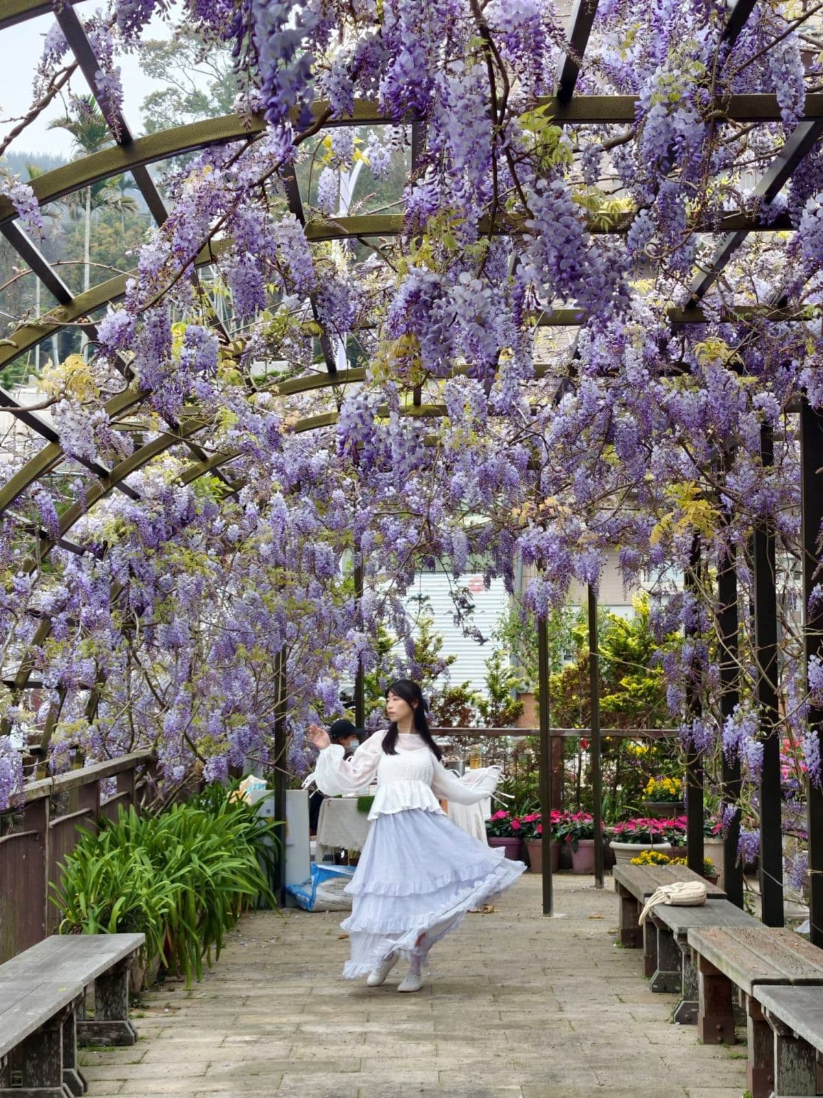 夢幻紫色花海大爆發!「2026嘉義瑞里紫藤花季」15處賞花景點推薦全攻略 夢幻紫色花海大爆發!「2026嘉義瑞里紫藤花季」15處賞花景點推薦全攻略