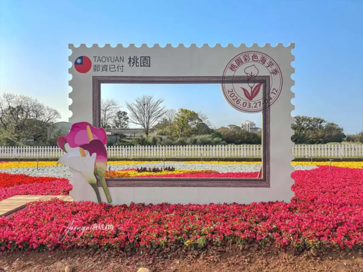 2026全台海芋地圖!桃園14萬株彩色花海美瘋,竹子湖、福壽山高山仙境一次看 2026全台海芋地圖!桃園14萬株彩色花海美瘋,竹子湖、福壽山高山仙境一次看