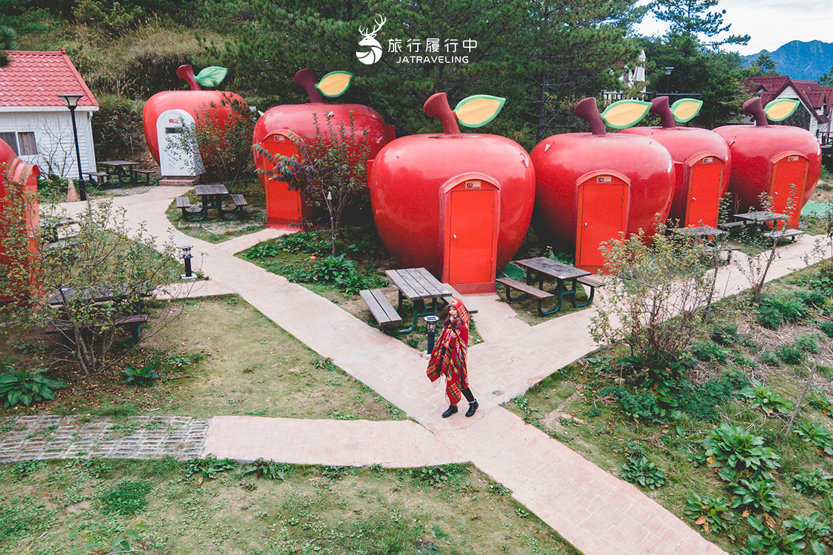 2026全台海芋地圖!桃園14萬株彩色花海美瘋,竹子湖、福壽山高山仙境一次看 2026全台海芋地圖!桃園14萬株彩色花海美瘋,竹子湖、福壽山高山仙境一次看