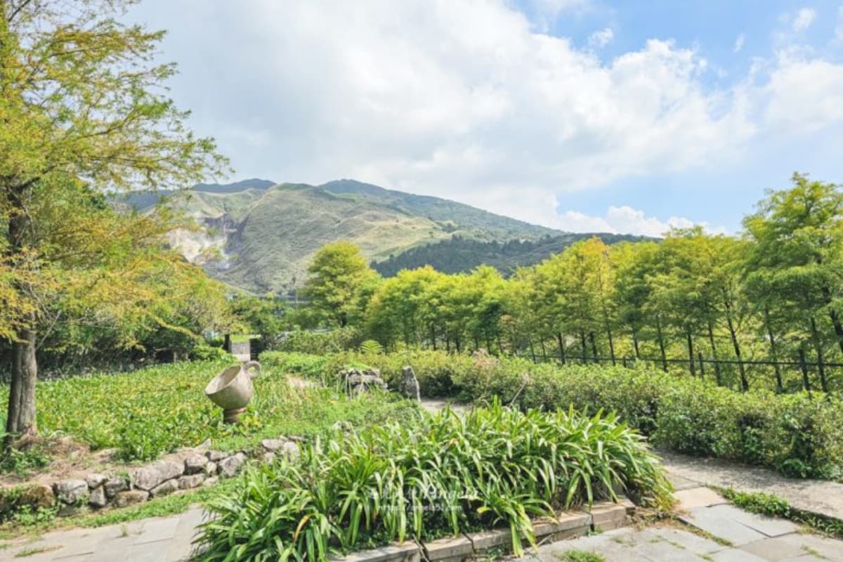 2026全台海芋地圖!桃園14萬株彩色花海美瘋,竹子湖、福壽山高山仙境一次看 2026全台海芋地圖!桃園14萬株彩色花海美瘋,竹子湖、福壽山高山仙境一次看