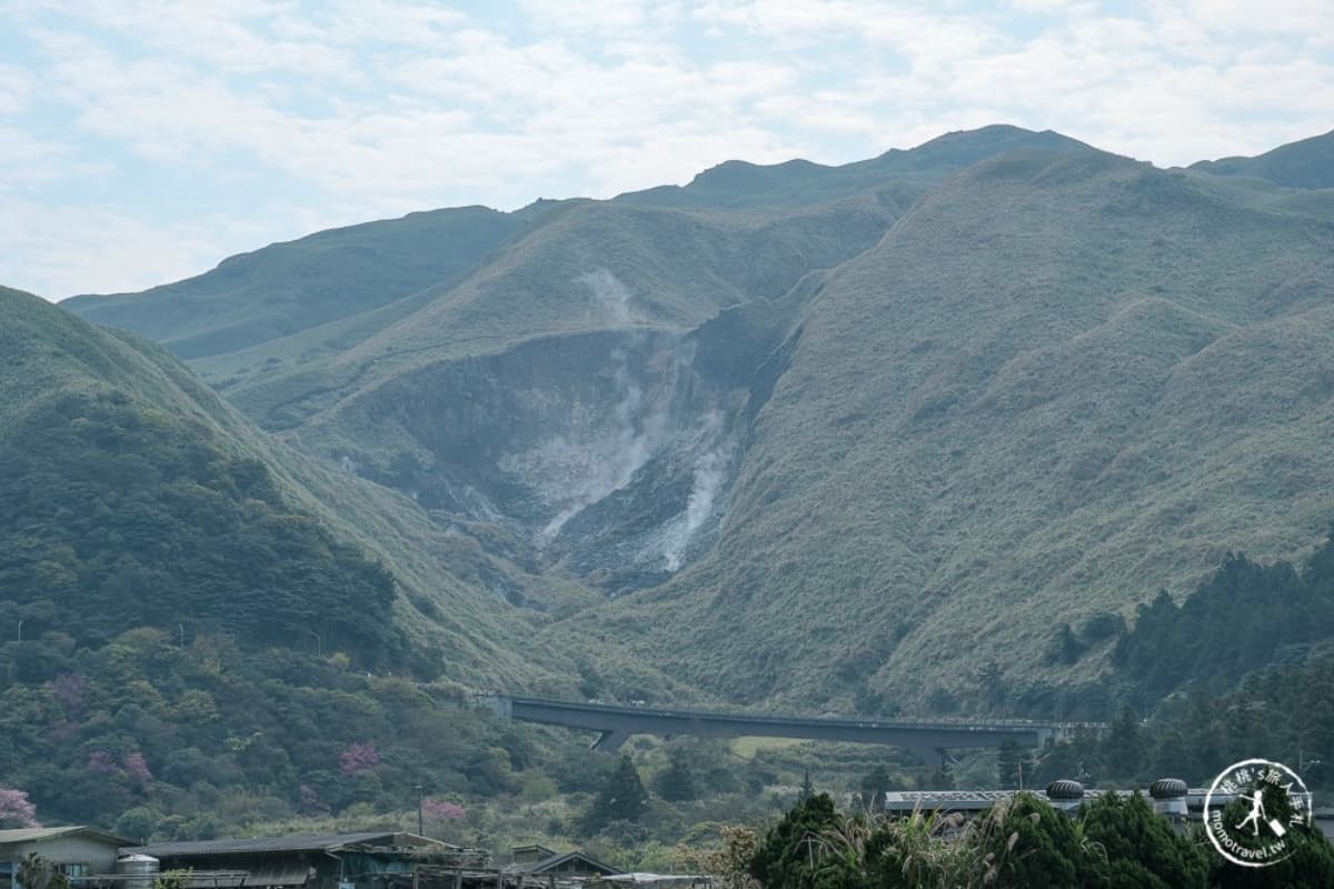 2026全台海芋地圖!桃園14萬株彩色花海美瘋,竹子湖、福壽山高山仙境一次看 2026全台海芋地圖!桃園14萬株彩色花海美瘋,竹子湖、福壽山高山仙境一次看