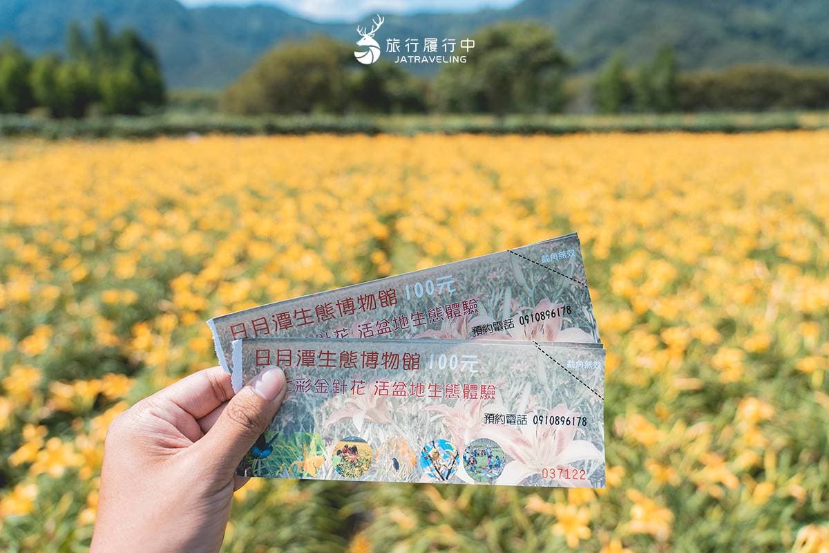 天使的花毯在這!上萬坪七彩金針花、紫色馬鞭草花海美翻,門票只要100元 天使的花毯在這!上萬坪七彩金針花、紫色馬鞭草花海美翻,門票只要100元