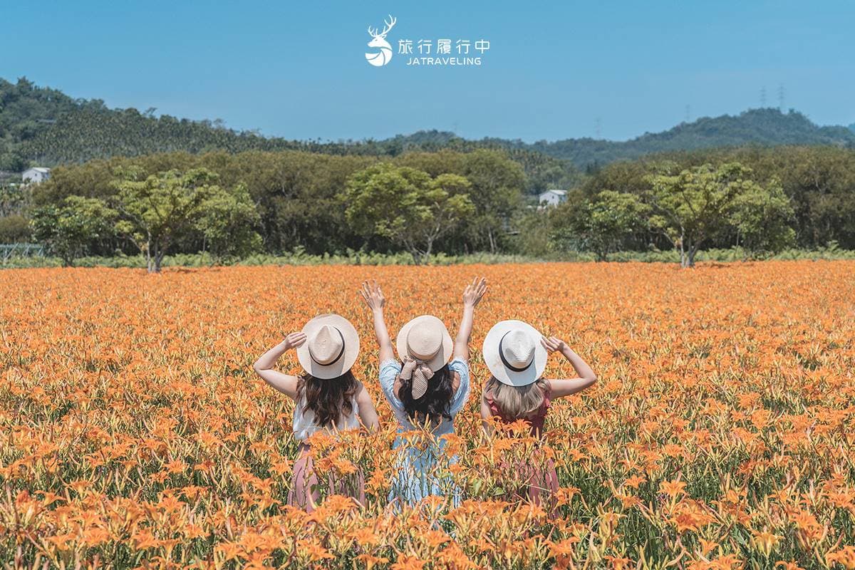 天使的花毯在這!上萬坪七彩金針花、紫色馬鞭草花海美翻,門票只要100元 天使的花毯在這!上萬坪七彩金針花、紫色馬鞭草花海美翻,門票只要100元