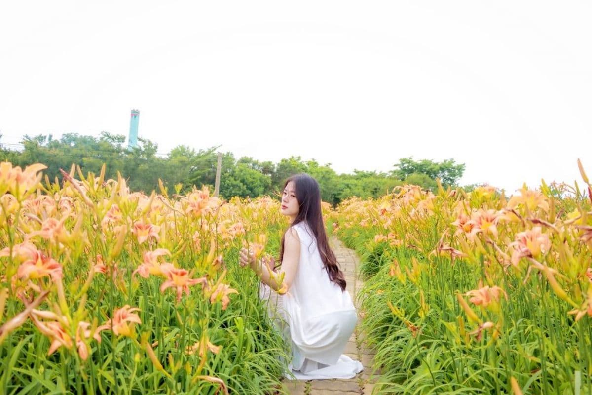 台中免門票金針花景點!美拍16公頃橘紅花海綻放,漫天風箏同框好浪漫 台中免門票金針花景點!美拍16公頃橘紅花海綻放,漫天風箏同框好浪漫
