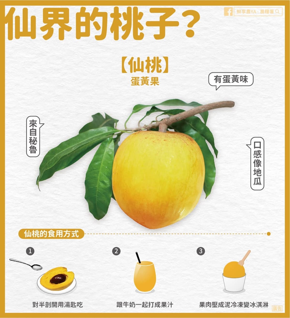 1水果被譽超級食物!有助護眼、提升免疫力,內行人揭這樣吃更美味 1水果被譽超級食物!有助護眼、提升免疫力,內行人揭這樣吃更美味