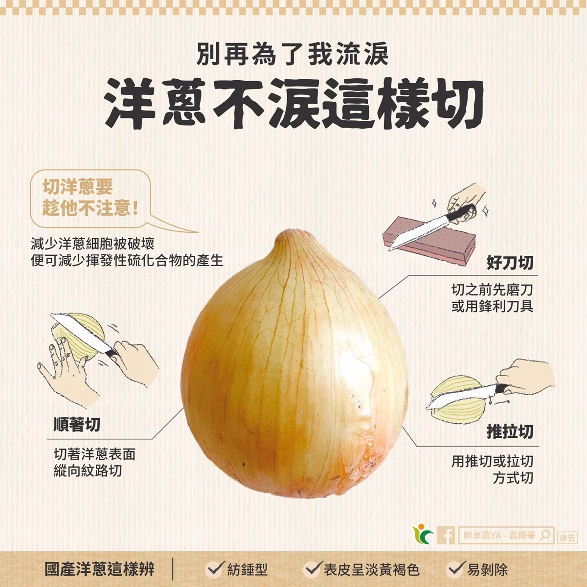 洋蔥常溫可以放多久?教你正確保存「1狀況別吃恐已發霉」,加碼不流淚切法 洋蔥常溫可以放多久?教你正確保存「1狀況別吃恐已發霉」,加碼不流淚切法