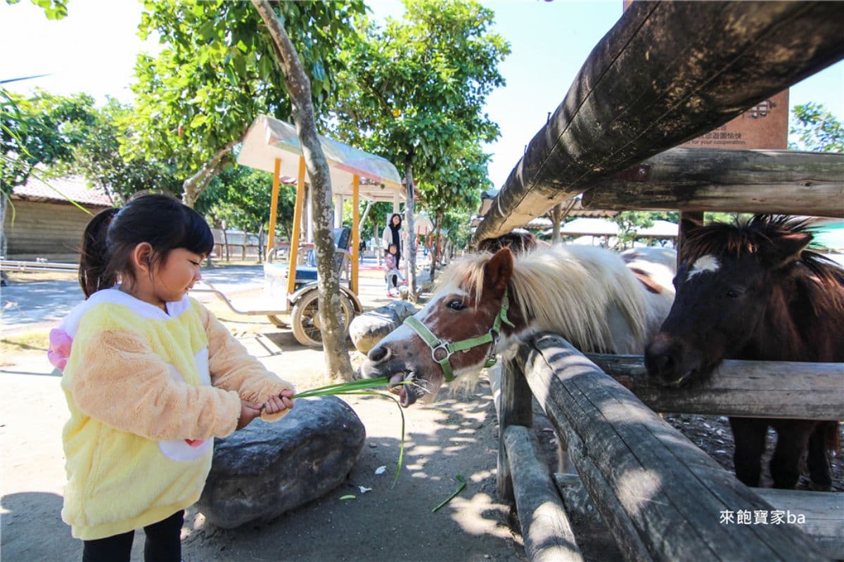 動物園、水樂園一票玩到底!台南高CP值親子景點玩整天,遊樂設施無限搭乘 動物園、水樂園一票玩到底!台南高CP值親子景點玩整天,遊樂設施無限搭乘