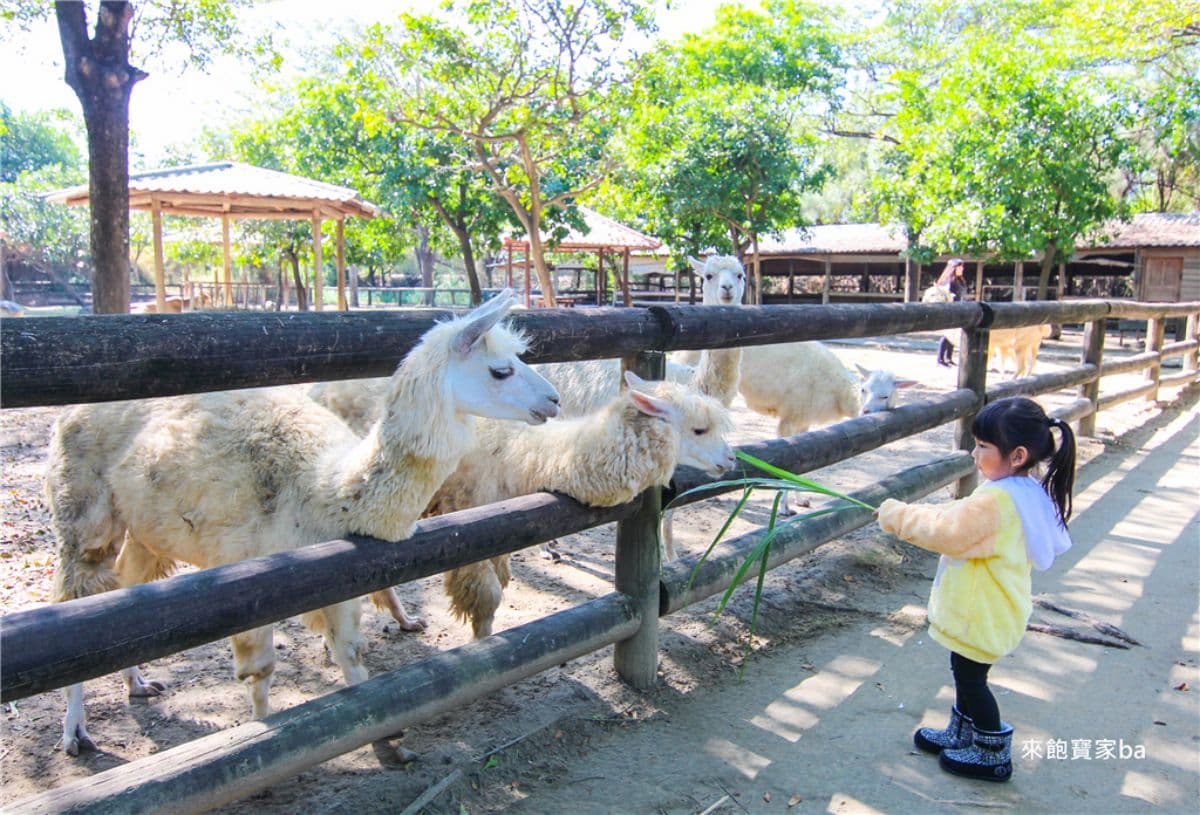 動物園、水樂園一票玩到底!台南高CP值親子景點玩整天,遊樂設施無限搭乘 動物園、水樂園一票玩到底!台南高CP值親子景點玩整天,遊樂設施無限搭乘