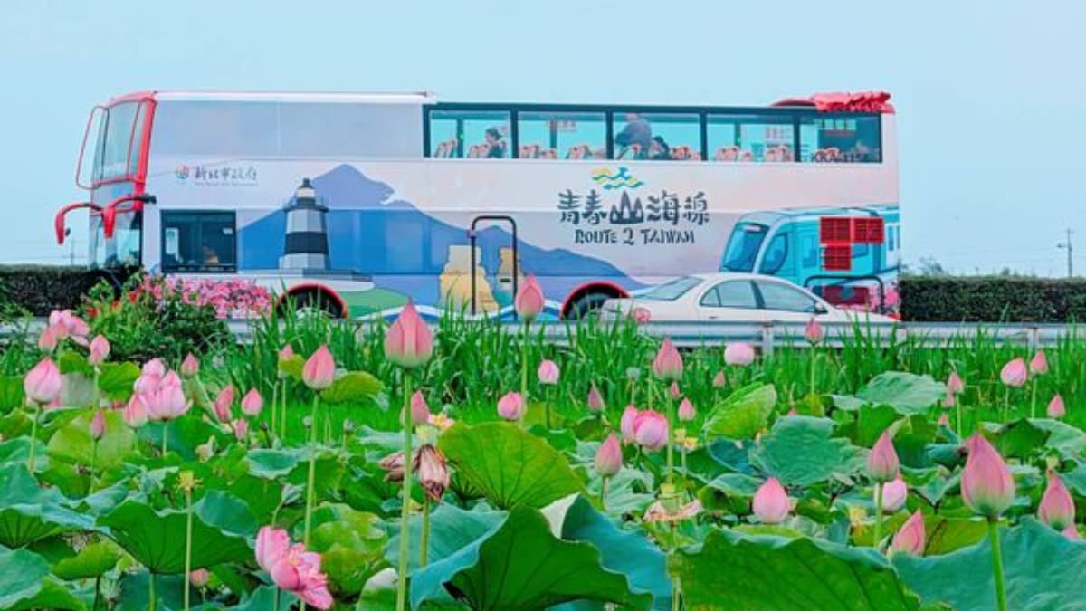 北海岸爆紅雙層巴士加開了!週二限定升級搭遊艇、送肉粽老茶,988元開搶 北海岸爆紅雙層巴士加開了!週二限定升級搭遊艇、送肉粽老茶,988元開搶