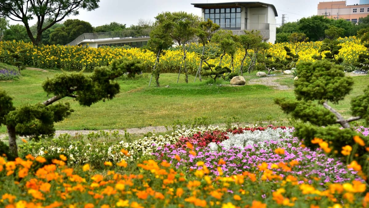 全台7大向日葵花海!1.2公頃免費花海、金黃落羽松秘境、紅色鐵橋同框 全台7大向日葵花海!1.2公頃免費花海、金黃落羽松秘境、紅色鐵橋同框
