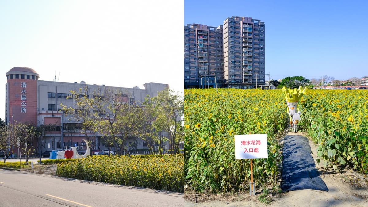 全台7大向日葵花海!1.2公頃免費花海、金黃落羽松秘境、紅色鐵橋同框 全台7大向日葵花海!1.2公頃免費花海、金黃落羽松秘境、紅色鐵橋同框