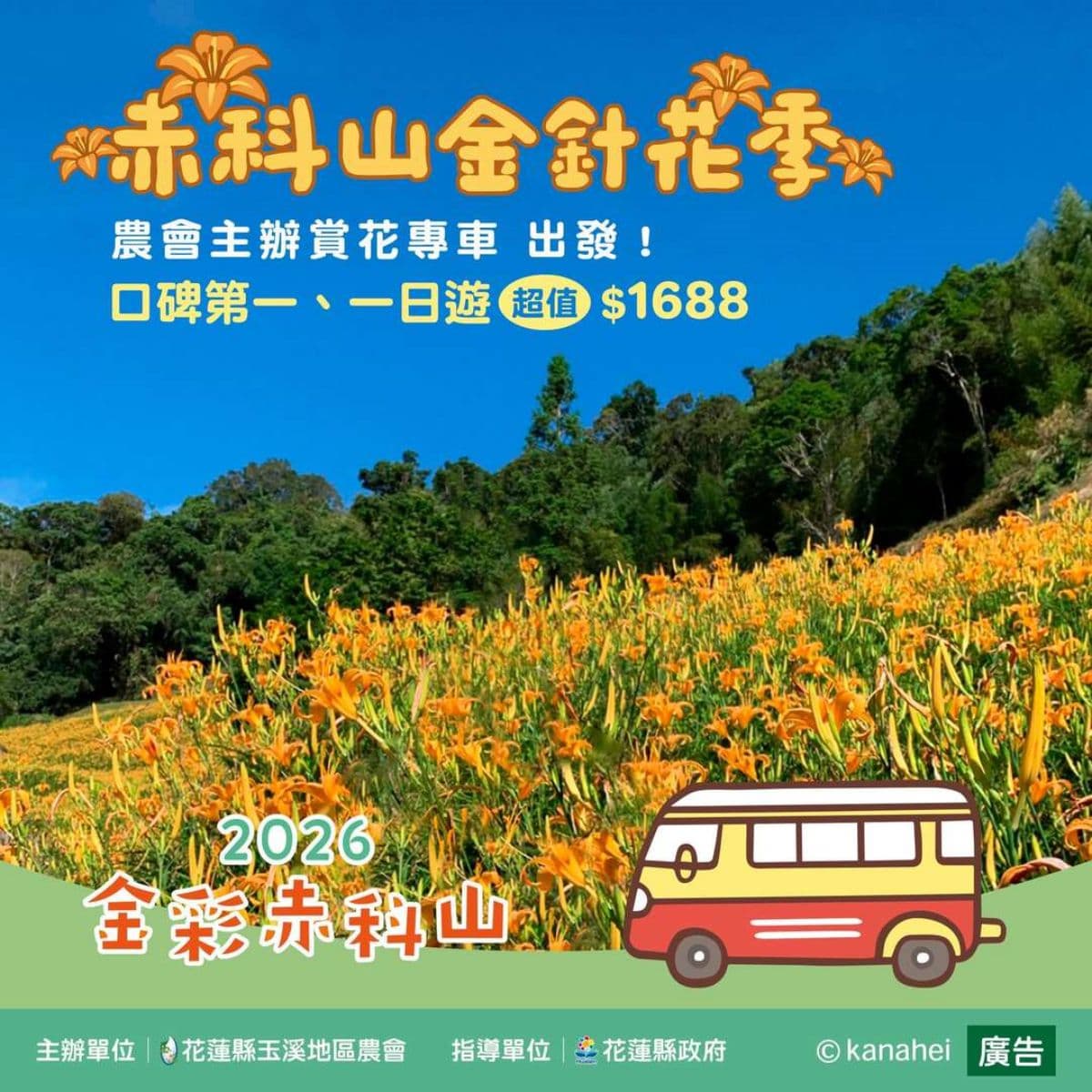 2026花蓮金針花季開跑!合照卡娜赫拉巨型氣球,賞花景點推薦、即時花況直播 2026花蓮金針花季開跑!合照卡娜赫拉巨型氣球,賞花景點推薦、即時花況直播