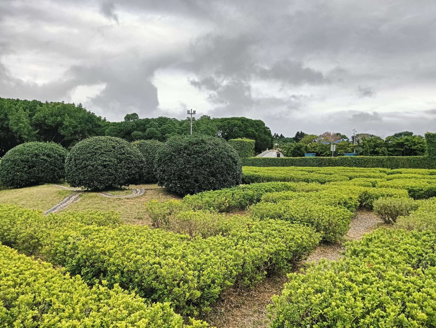 台北私房景點!這座植物園免門票、冷氣超強,外面有迷宮花園、巨型溜滑梯 台北私房景點!這座植物園免門票、冷氣超強,外面有迷宮花園、巨型溜滑梯