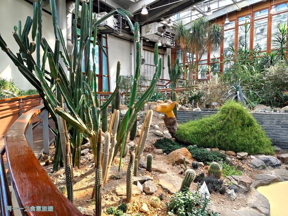 台北私房景點!這座植物園免門票、冷氣超強,外面有迷宮花園、巨型溜滑梯 台北私房景點!這座植物園免門票、冷氣超強,外面有迷宮花園、巨型溜滑梯