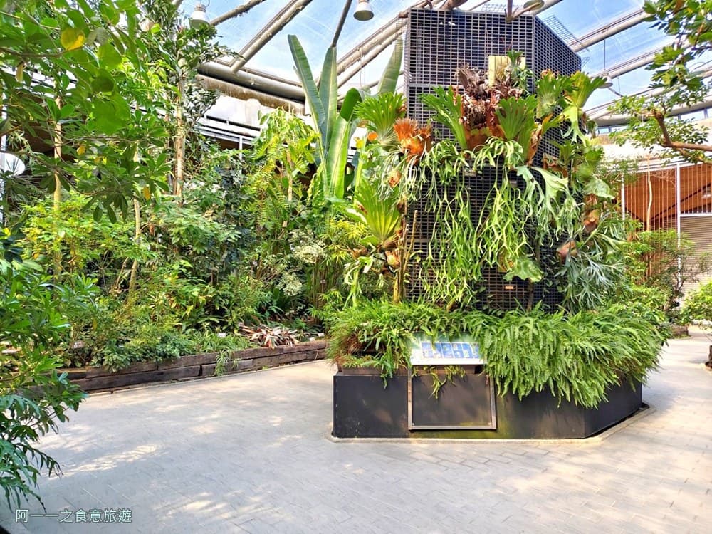 台北私房景點!這座植物園免門票、冷氣超強,外面有迷宮花園、巨型溜滑梯 台北私房景點!這座植物園免門票、冷氣超強,外面有迷宮花園、巨型溜滑梯