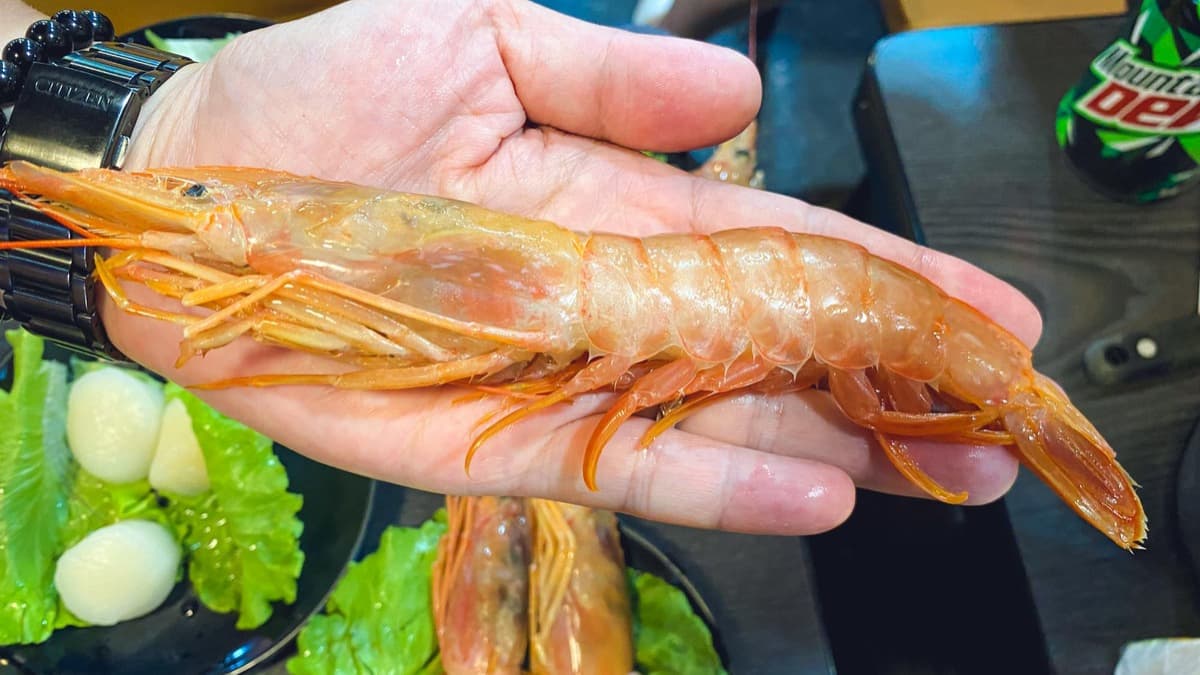 西門町20年老店吃到飽!火鍋破百種品項任吃,5種鮮蝦、螃蟹、哈根達斯通通有 西門町20年老店吃到飽!火鍋破百種品項任吃,5種鮮蝦、螃蟹、哈根達斯通通有