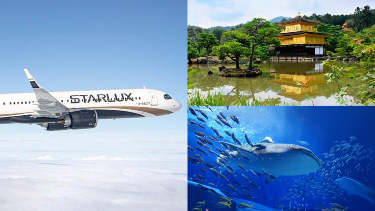 星宇航空9月機票優惠!熱門航點最高82折,日本直飛台中、高雄行程開賣