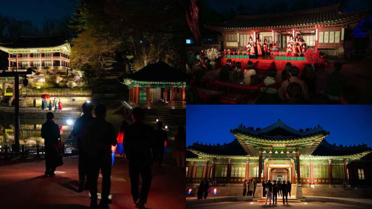 韓國古宮秋夜太浪漫!昌德宮月光之旅限量開搶,外國人限定場次僅4天