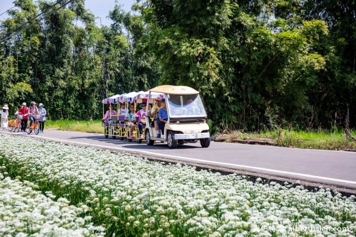 夢幻純白「九月雪」免費拍!「2026桃園韭菜花節」9月登場,搭拉拉車逛花海 夢幻純白「九月雪」免費拍!「2026桃園韭菜花節」9月登場,搭拉拉車逛花海