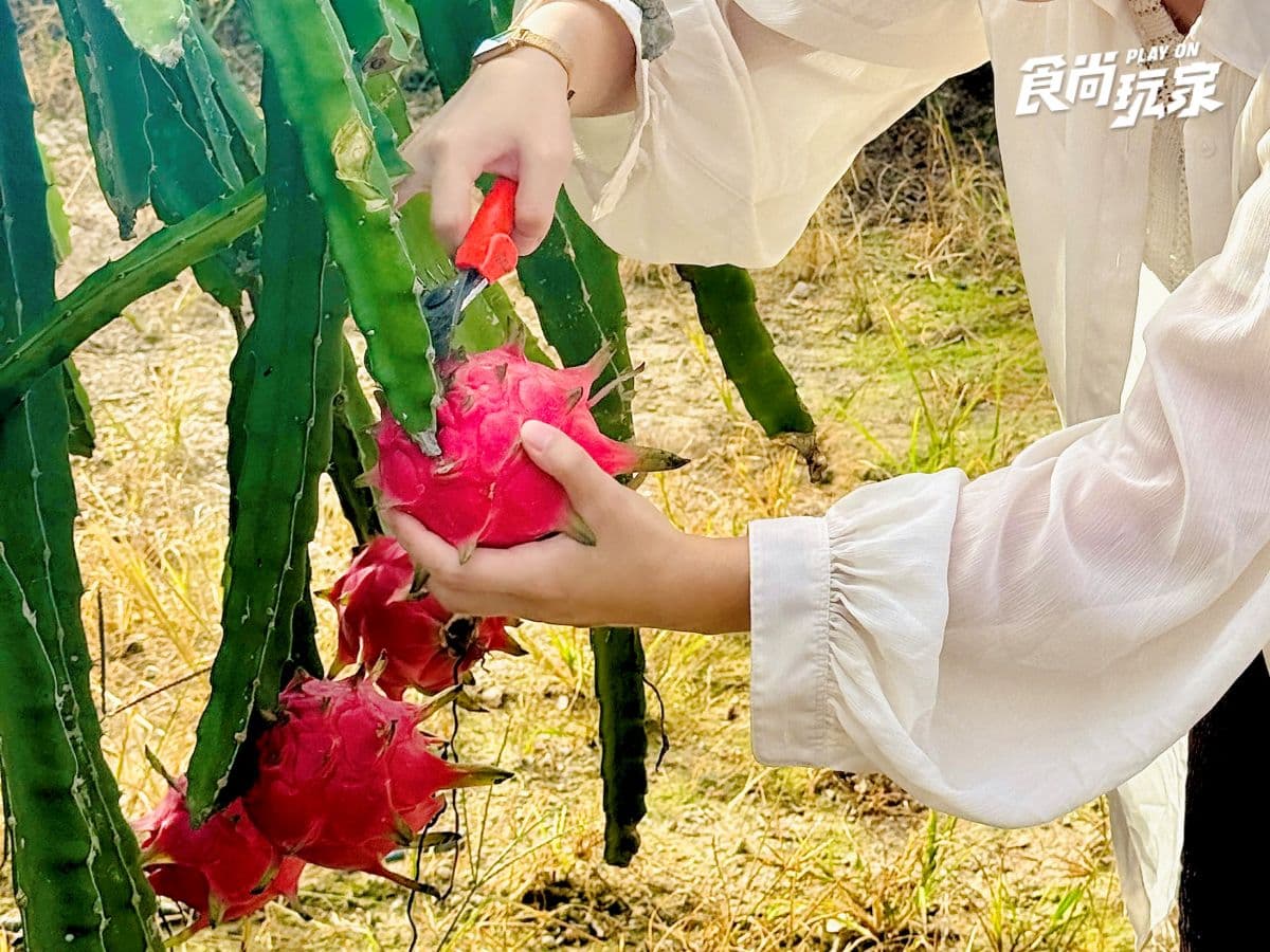 你沒玩過的馬來西亞!吉隆坡2近郊景點推薦:熱帶果園水果吃到飽、溼地探險 你沒玩過的馬來西亞!吉隆坡2近郊景點推薦:熱帶果園水果吃到飽、溼地探險