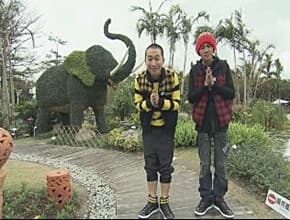 最後一搏 台北花博全攻略