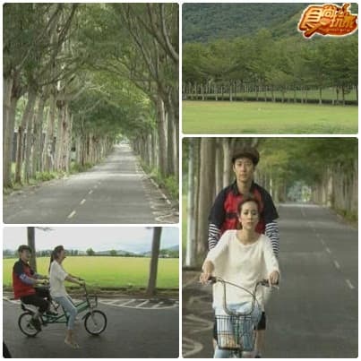台東泡湯至親遊 台東泡湯至親遊