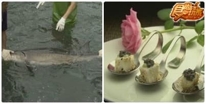 熱血蘭陽之美食黃金傳說 熱血蘭陽之美食黃金傳說