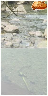 開學迎新小旅行 天團學長帶你遊南庄 開學迎新小旅行 天團學長帶你遊南庄