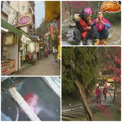 合歡山賞雪泡湯行家路線 合歡山賞雪泡湯行家路線