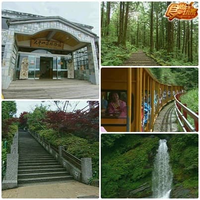 太平山鐵腿爽胃之旅 太平山鐵腿爽胃之旅
