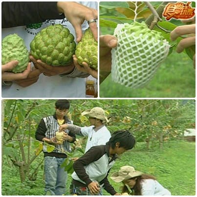 好像出國去 台東太美麗 好像出國去 台東太美麗