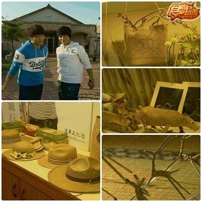 苗栗 苑裡賞花 吃好料之旅 苗栗 苑裡賞花 吃好料之旅