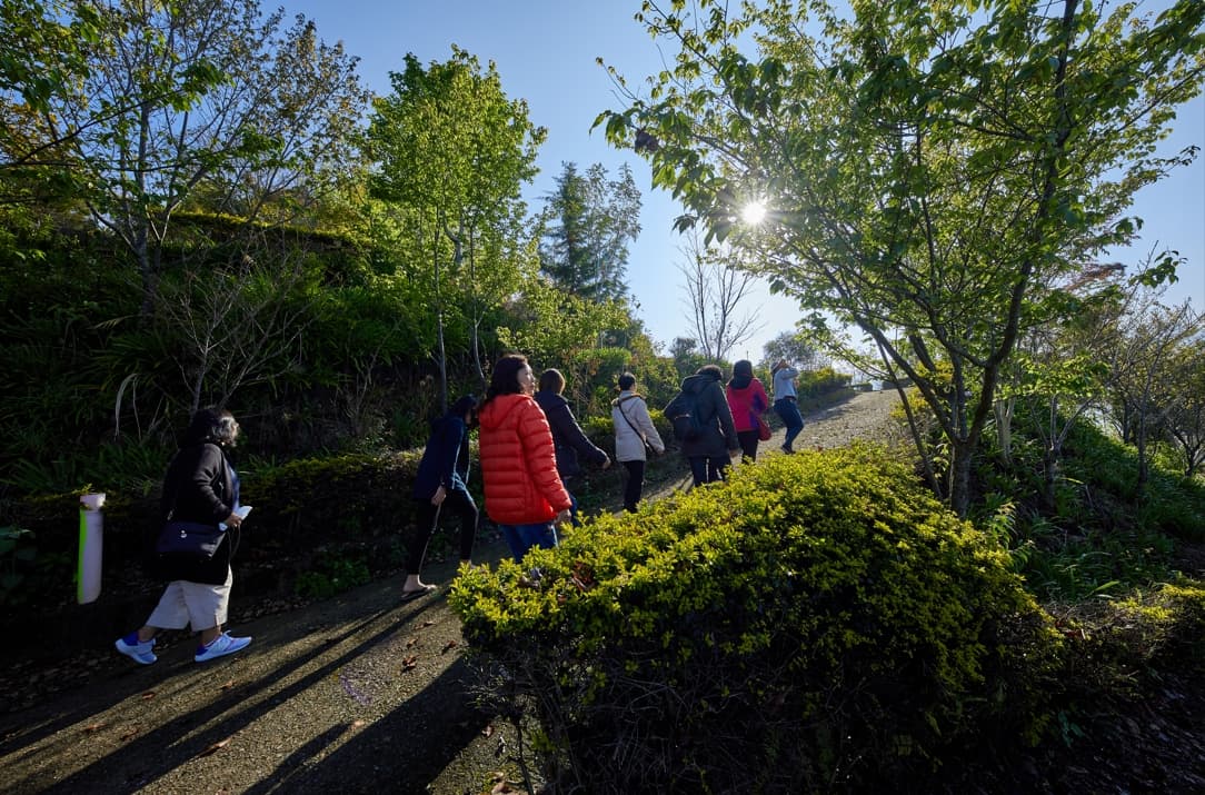 旅宿相片