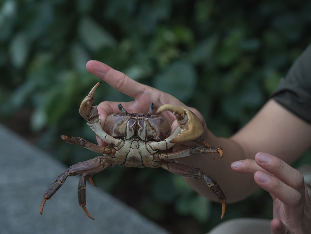 旅宿相片