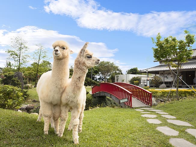 旅宿相片