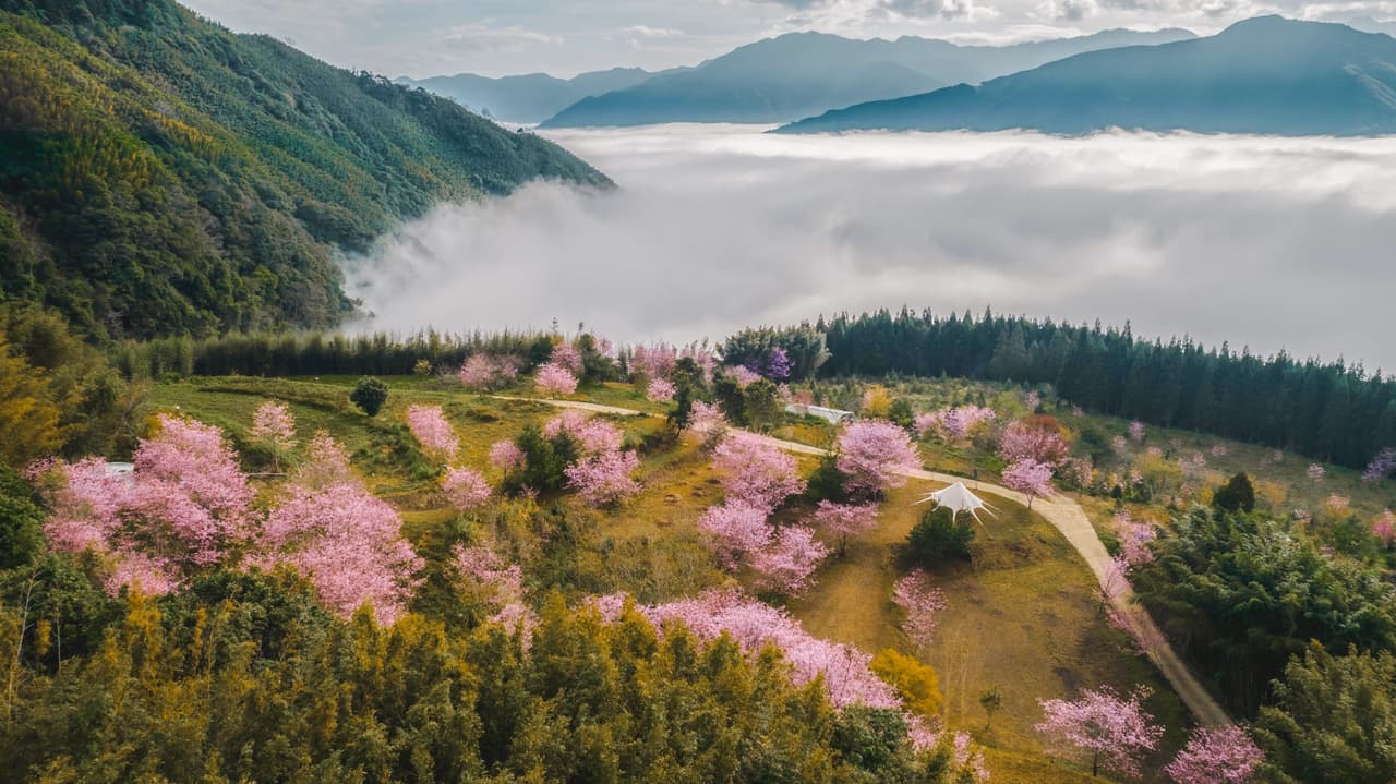 圖片由 蟬說:霧語 提供