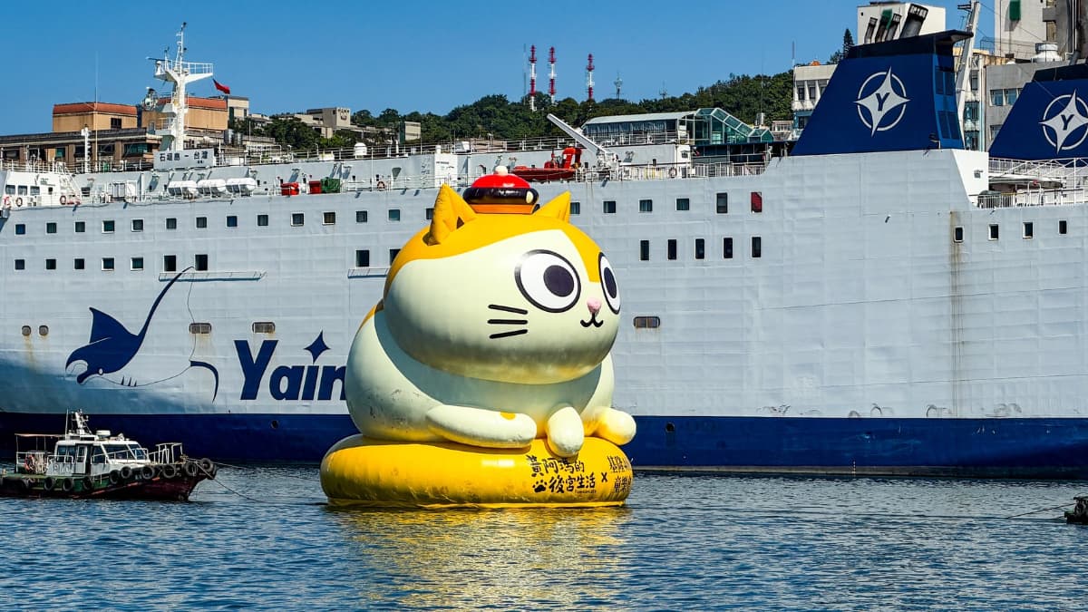超萌水上貓咪!15公尺高「巨型黃阿瑪」登陸基隆港,9/24點燈展出2個月