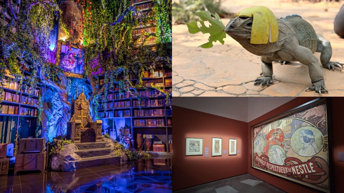 台南中秋旅遊攻略!慕夏展、動漫市集、火舞秀必玩,消費滿50元抽電動車