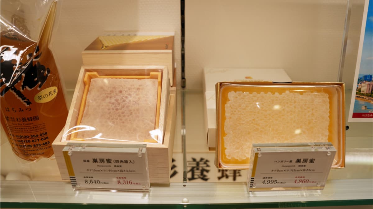 太宰府摸御神牛、拜學問之神!6大必吃:梅枝餅、明太子茶泡飯、芒果蒙布朗 太宰府摸御神牛、拜學問之神!6大必吃:梅枝餅、明太子茶泡飯、芒果蒙布朗