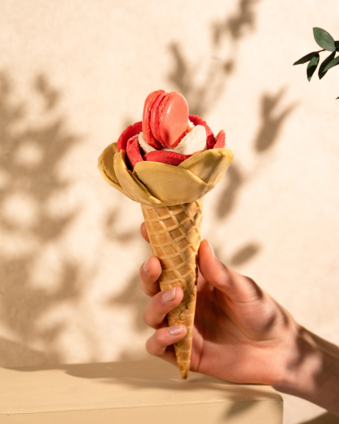 不用飛巴黎吃玫瑰冰!Amorino台灣首店開幕,30種Gelato進駐大巨蛋 不用飛巴黎吃玫瑰冰!Amorino台灣首店開幕,30種Gelato進駐大巨蛋