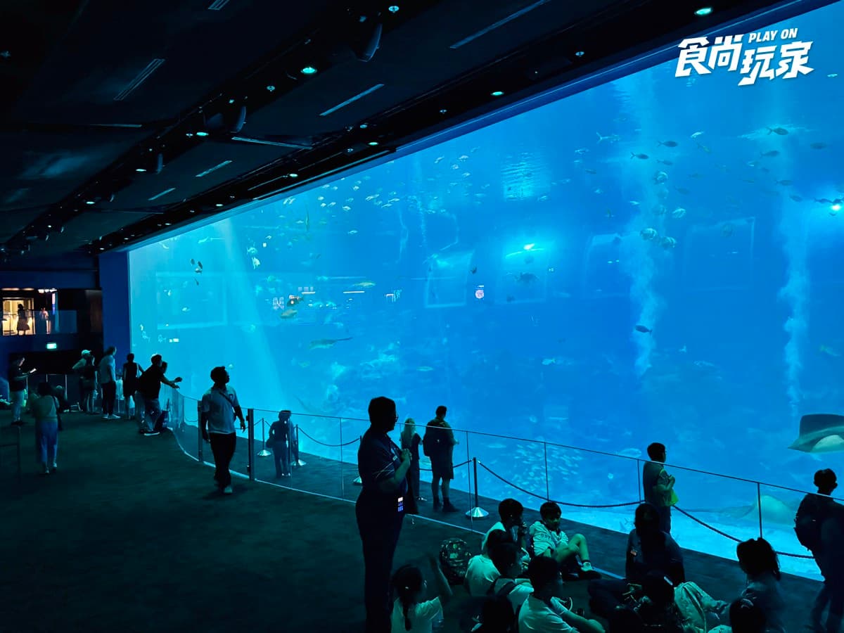 別只衝魚尾獅!2026新加坡18大必玩攻略:寶可夢限定、36公尺鯊魚隧道、彩虹街屋 別只衝魚尾獅!2026新加坡18大必玩攻略:寶可夢限定、36公尺鯊魚隧道、彩虹街屋
