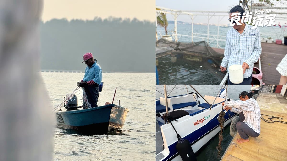 別只衝魚尾獅!2026新加坡18大必玩攻略:寶可夢限定、36公尺鯊魚隧道、彩虹街屋 別只衝魚尾獅!2026新加坡18大必玩攻略:寶可夢限定、36公尺鯊魚隧道、彩虹街屋