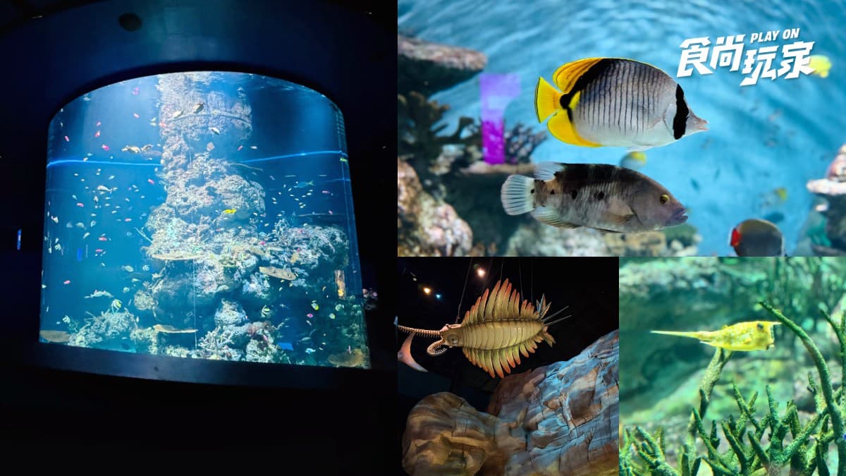 別只衝魚尾獅!2026新加坡18大必玩攻略:寶可夢限定、36公尺鯊魚隧道、彩虹街屋 別只衝魚尾獅!2026新加坡18大必玩攻略:寶可夢限定、36公尺鯊魚隧道、彩虹街屋