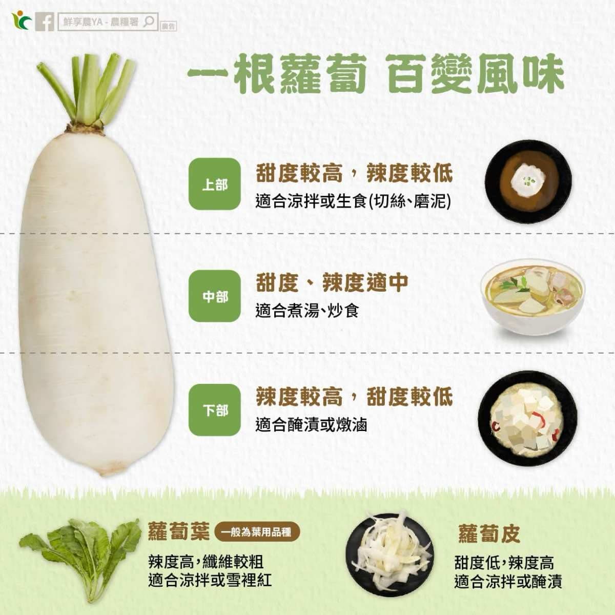 白蘿蔔別只會煮湯!5大部位吃法不同,「這部位」營養價值更高 白蘿蔔別只會煮湯!5大部位吃法不同,「這部位」營養價值更高