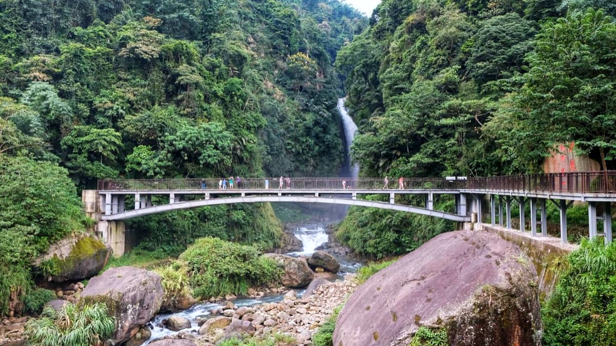 夢幻粉紅花瀑布免費拍!竹山「九重葛秘境」看山林美景,順遊瑞龍瀑布走吊橋步道 夢幻粉紅花瀑布免費拍!竹山「九重葛秘境」看山林美景,順遊瑞龍瀑布走吊橋步道