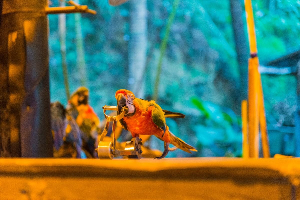台灣動物園、水族館推薦Top10!逛一整天都不膩,這2026新景點還可互動 台灣動物園、水族館推薦Top10!逛一整天都不膩,這2026新景點還可互動